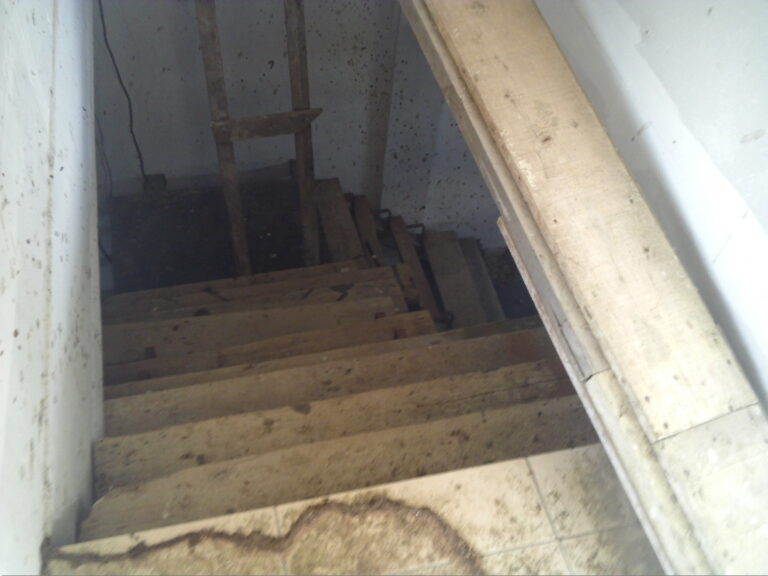 02 d RT renovati